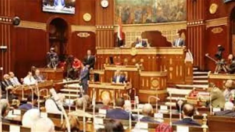 مجلس الشيوخ يوافق على مشروع قانون إنشاء المجلس الأعلى لصناعة السيارات