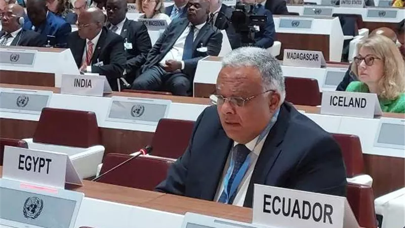 مندوب مصر في جنيف يلقي بيان المجموعة العربية
