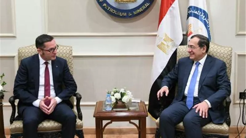 وزير البترول يستقبل رئيس 