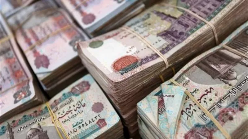 مجرم جبار.. هارب من غرامات بـ نصف مليار!