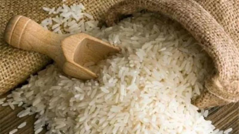 التموين: استلام 15 الف طن ارز شعير من مزارعي كفر الشيخ