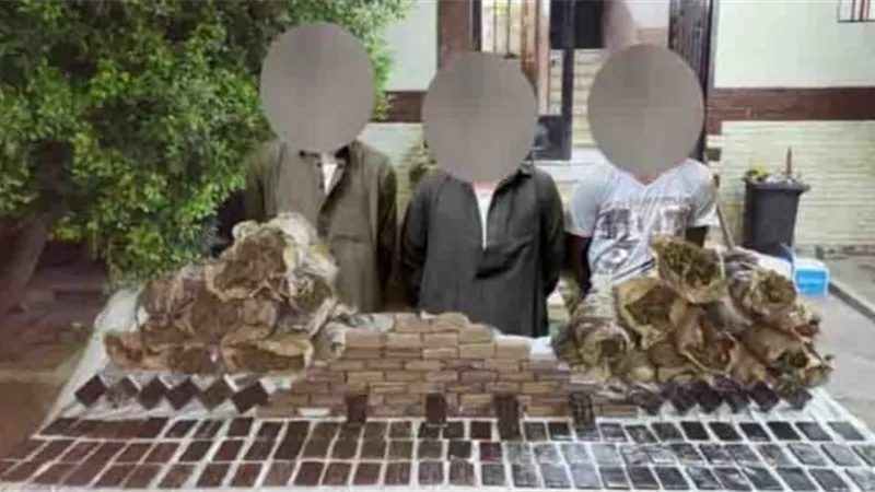120 كيلو بانجو و51 كيلو حشيش بحوزة 3 عناصر إجرامية بالسويس