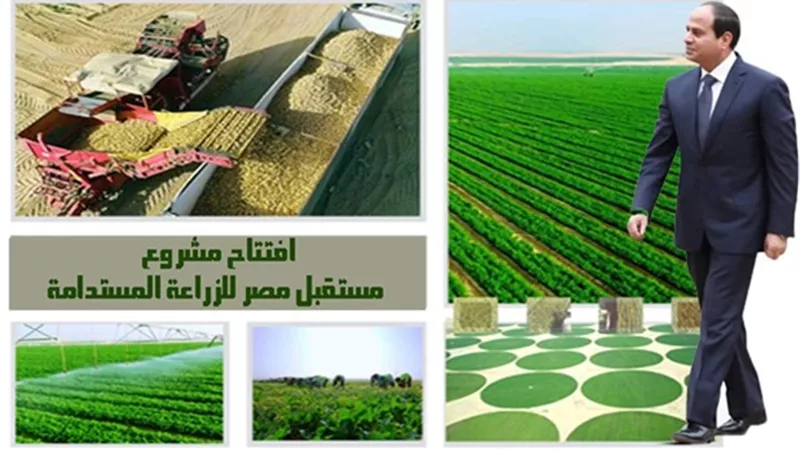 نقيب الزراعيين يكشف أهمية مشروع مستقبل مصر في ظل أزمة الأمن الغذائي العالمي