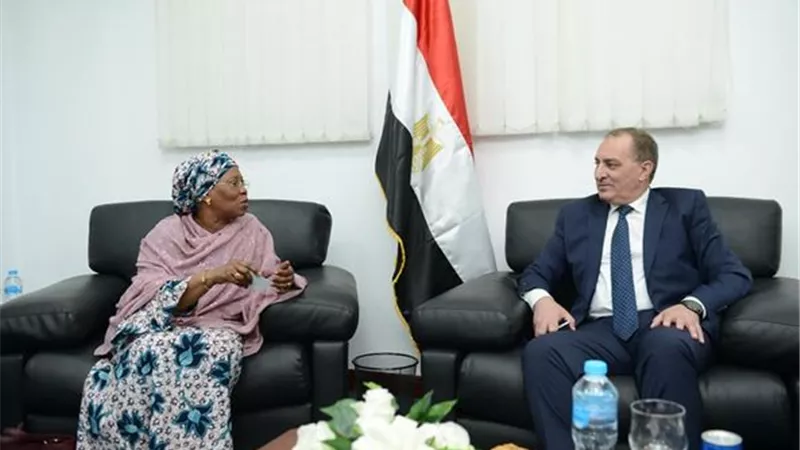 اقتصادية قناة السويس تبحث التعاون مع رجال الأعمال المصريين الأفارقة