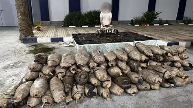 سقوط شخص بـحوزته 230 كيلو بانجو و58 حشيش بالسويس