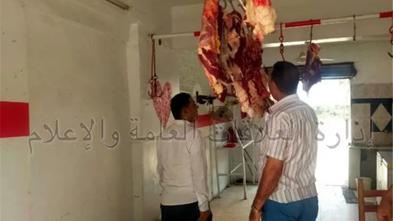 تحرير 80 محضرا متنوعا لمخابز وأسواق الإسماعيلية