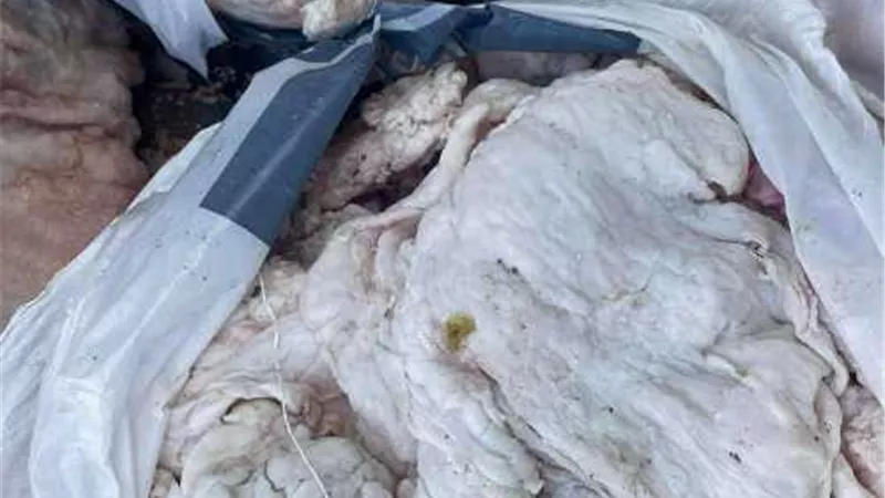 ضبط مخبز يعمل بدون ترخيص بدمياط
