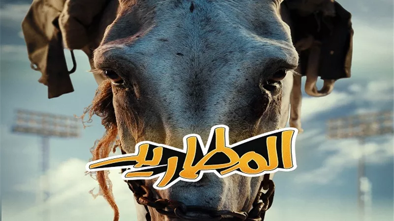 شاهد.. 