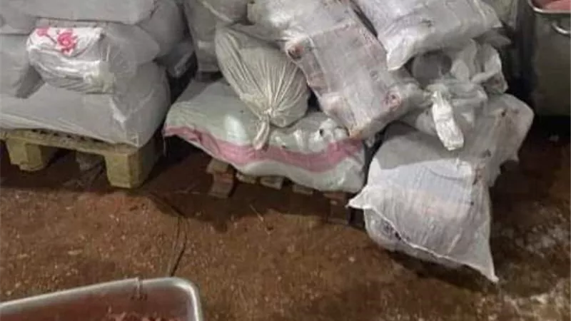 بيطرى الشرقية يضبط 6 أطنان لحوم ودواجن مخالفة ويُحرر 21 محضر