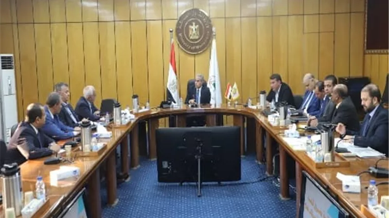 شحاتة يوجه بسرعة إنجاز تعديلات اللائحةالاسترشادية لشركات قطاع الأعمال