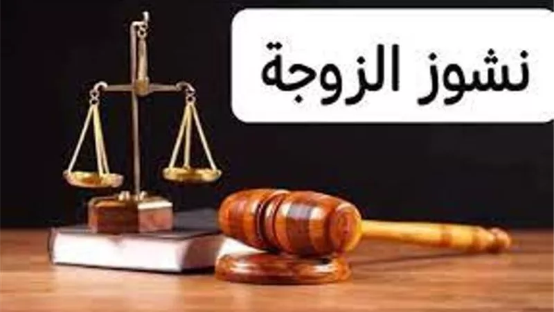 فى دعوى نشوز.. زوجتى بتضربنى وبتاخد فلوسى
