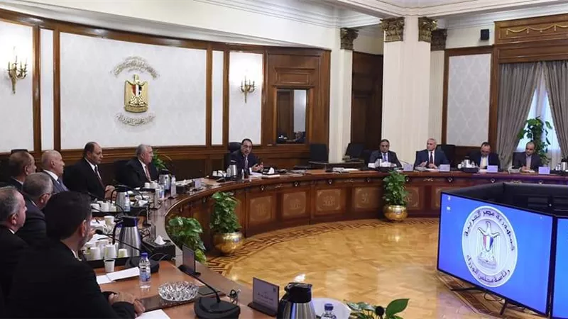 انفراجة في أزمة الأعلاف.. تحرك جديد من الحكومة لإنقاذ صناعة الدواجن
