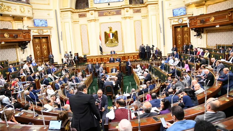 وزير المجالس النيابية يدافع عن الحكومة فى مواجهة الهجوم عليها