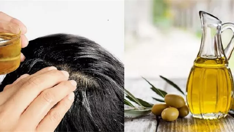 طريقة استخدام زيت الزيتون للشعر