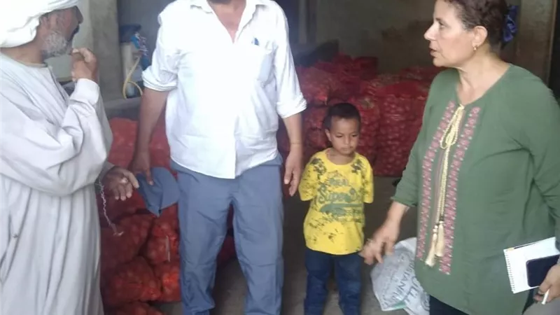 رفع كفاءة مزارعى البطاطس ببنى سويف