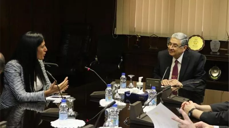 وزير الكهرباء يبحث فرص الإستثمار بالطاقات المتجددة والهيدروجين الأخضر