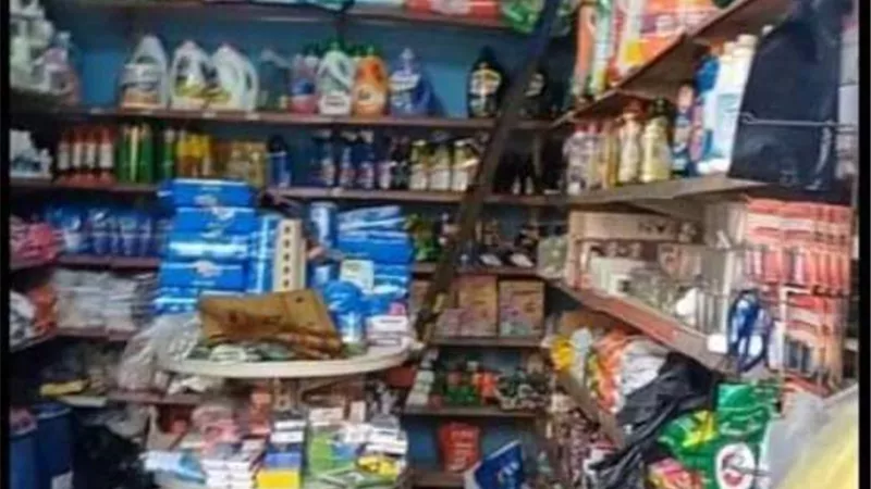محافظ الشرقية : تنفيذ ١٧ ألفا و٧٦٢ مشروعا للشباب