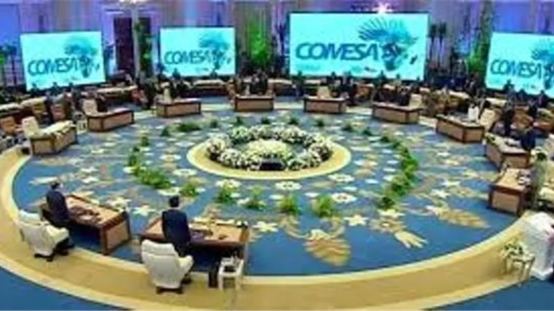 4.2 مليار دولار قيمة الاستثمارات المصرية بدول الكوميسا بنهاية سبتمبر