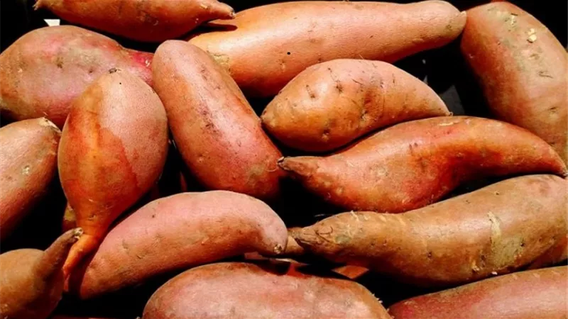 الفوائد الصحية للبطاطا الحلوة