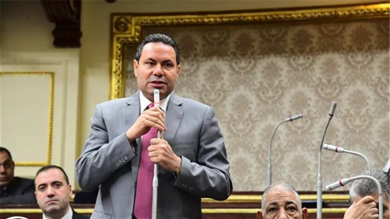 الحصرى: الحكومة جاده في التعامل مع ازمة اعلاف الدواجن