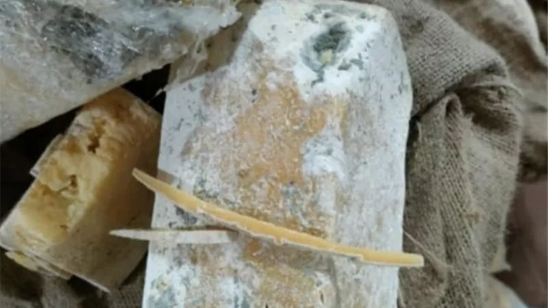 ضبط 4 أطنان جبن فاسده داخل ثلاجة بالقاهرة