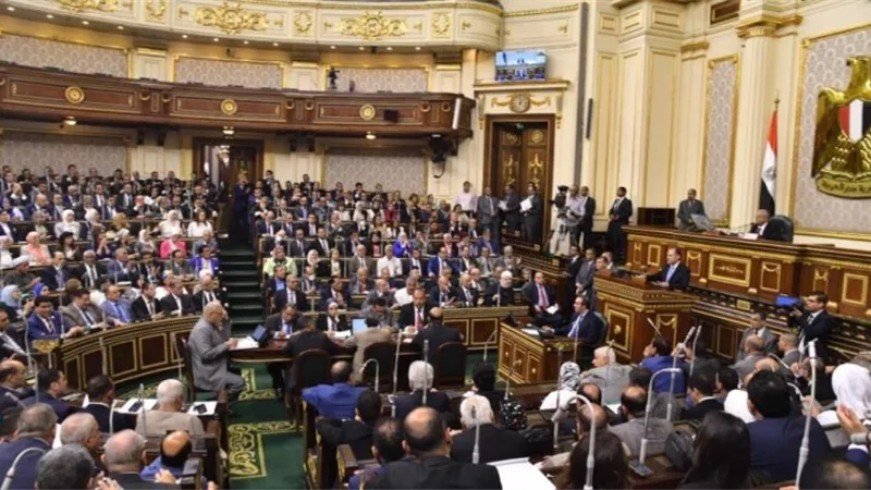 خطة البرلمان تناقش الحساب الختامى لوزارة التعليم العالى