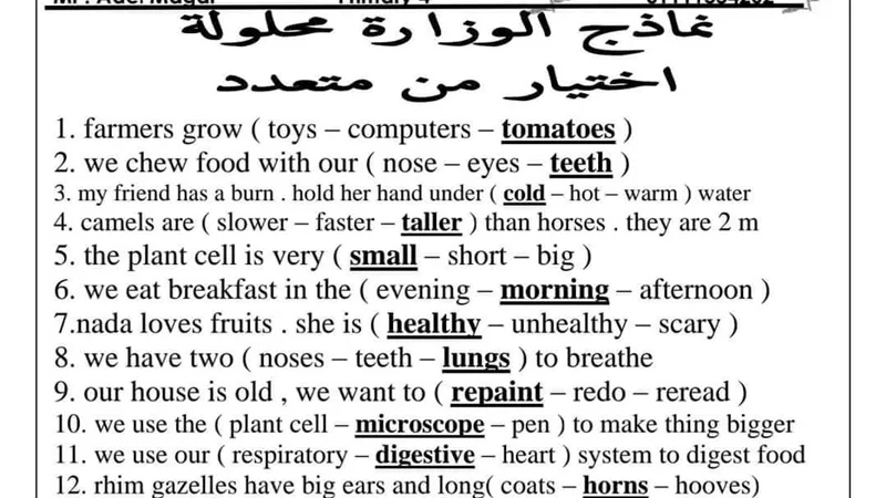 حل اختبار نموذج الوزارة لشهر اكتوبر فى مادة الكونكت لرابعة ابتدائى