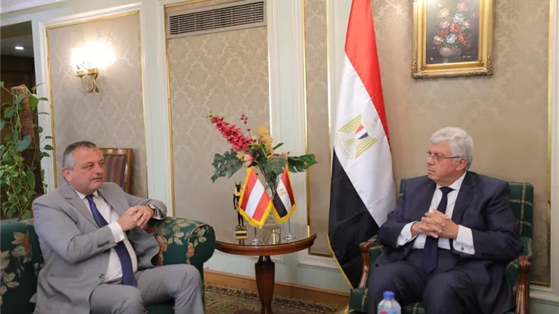 عاشور يؤكد أهمية التعاون بين الجامعات التكنولوجية المصرية والنمساوية