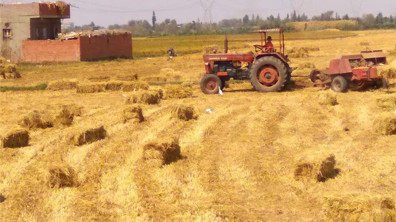 البيئة تنجح فى حماية الأرض من ١٦ ألف طن انبعاثات ملوثة للمناخ..صور