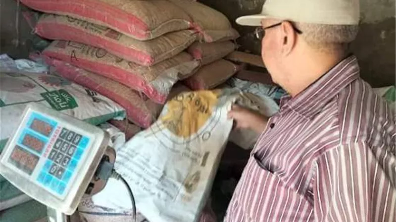 حملات تفتيشية على الأنشطة التجارية والمخابز بمنيا القمح