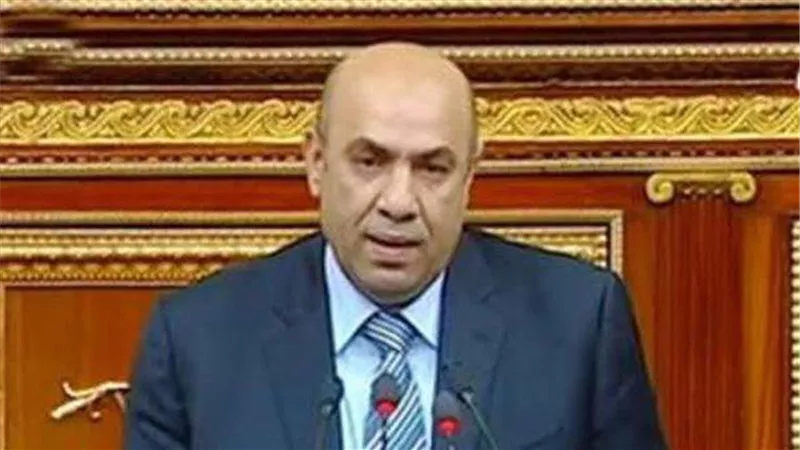 نائب: المؤتمر الاقتصادي فرصة لوضع حلول لمواجهة تحديات الأزمة العالمي