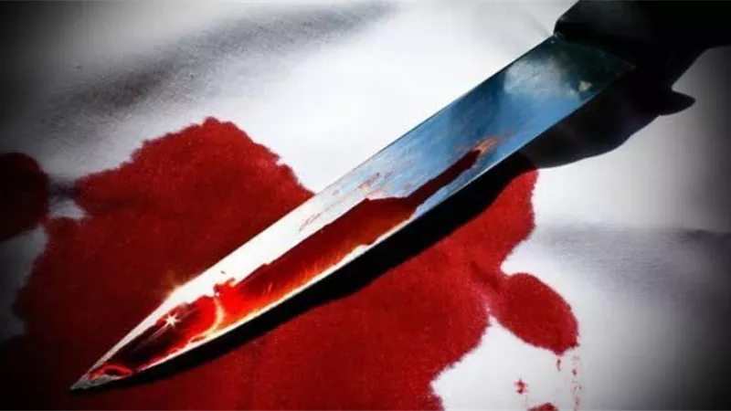 فتاة النزهة تقتل عشيقها بمساعدة صديقه