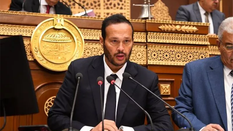 رئيس لجنة الصناعة بالشيوخ: المؤتمر الاقتصادى فرصة مهمة لإجراء حوار ب