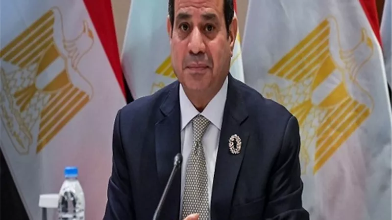 الرئيس السيسي: لولا حقل ظهر لكانت مصر مظلمة الآن
