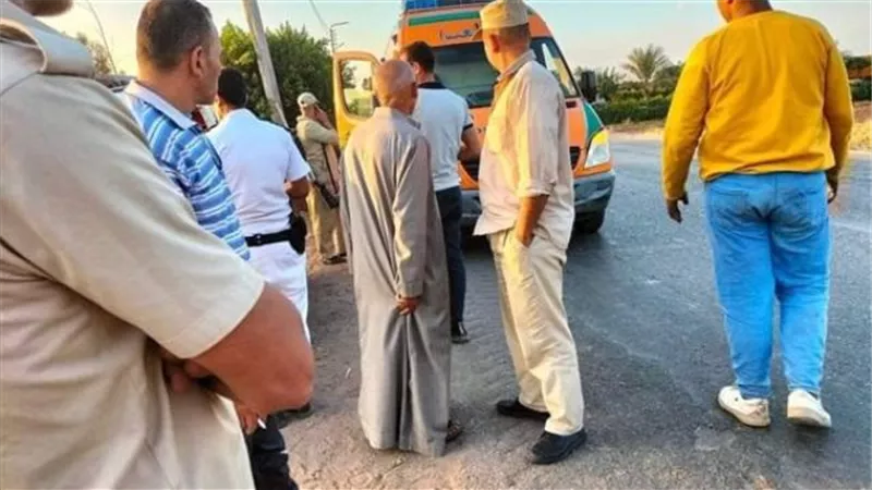 مصرع 8 وإصابة 2 عمال فى تصادم بين تروسيكل وسيارة نقل بالبحيرة