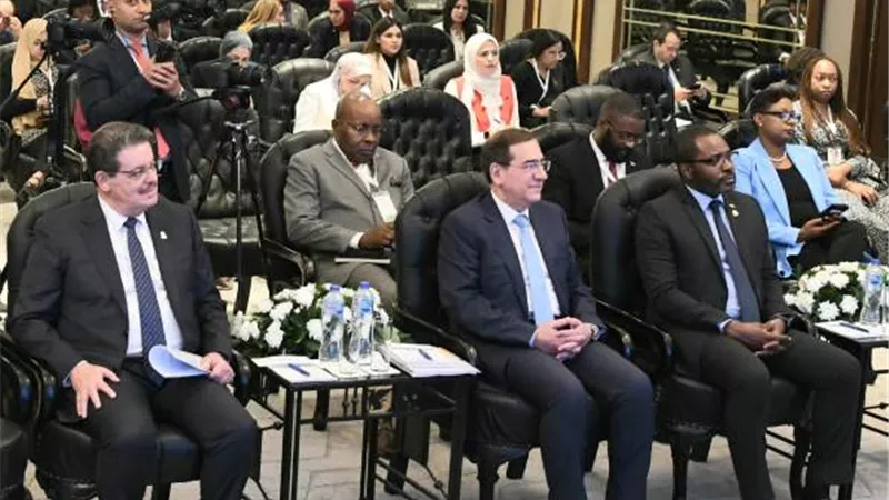 عقد ورشة عمل نموذج الغاز العالمى وسيناريوهات الإسراع بالتحول الطاقى