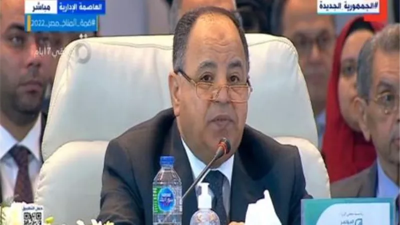 معيط: المالية تحملت 10قروش فرق في تكلفة الكهرباء لدعم القطاع الصناعى