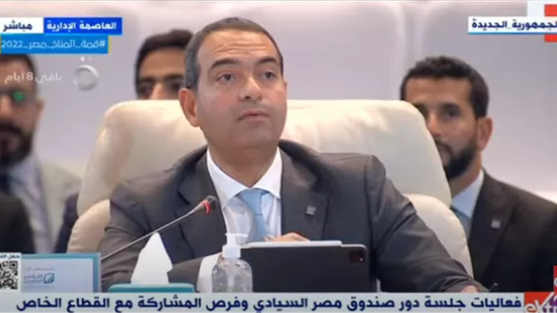 أيمن سليمان: الصندوق السيادى المصرى يعظم الاستفادة من موارد الدولة