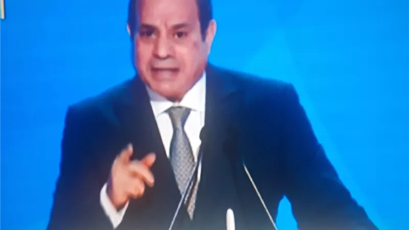 الرئيس السيسى : بعتبر نفسى انسان طُلب منه التدخل لحماية وطنه
