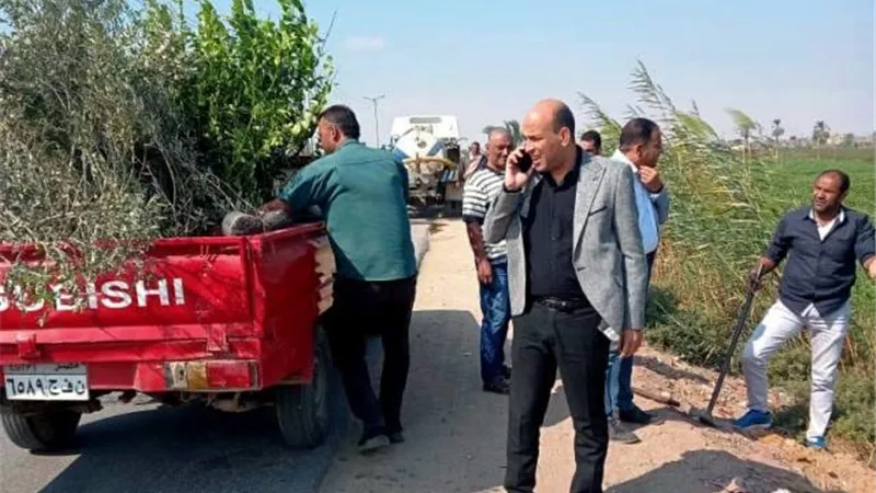 محافظ المنيا: المحليات تواصل جهودها لزراعة الاشجار المثمرة