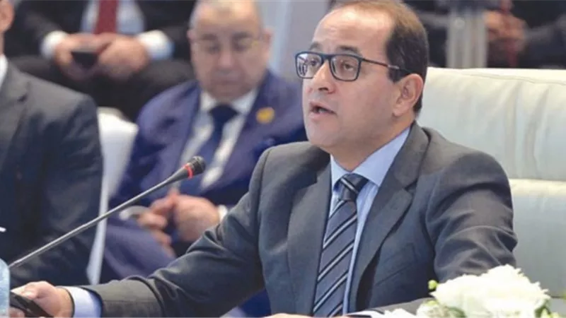 نائب وزير المالية: الوثيقة 