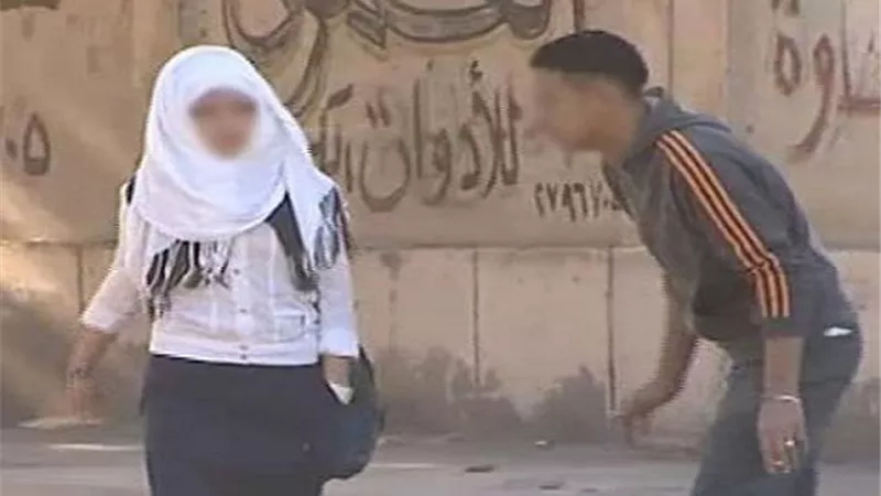 معاكسة فتاة تتسبب فى مقتل 2 أجانب بالمرج