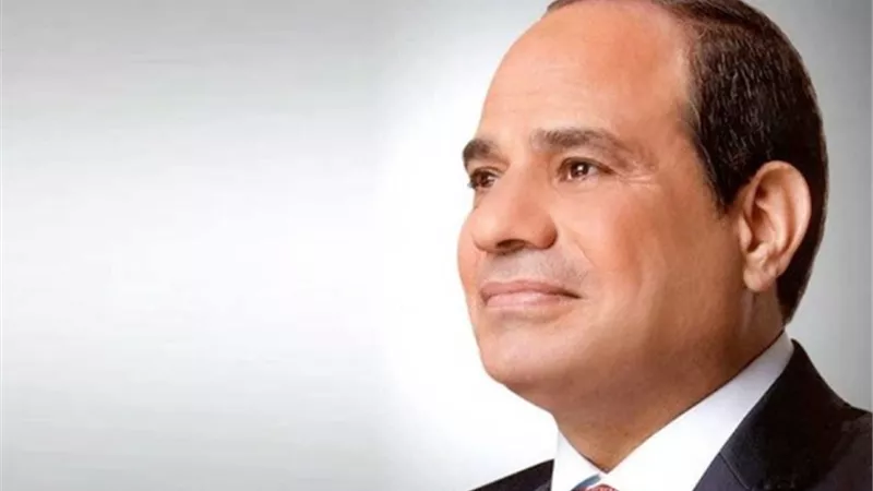 الرئيس: «قوة العلاقات المصرية الإماراتية لم تتغير على مدار عقود بل ازدادت رسوخًا»