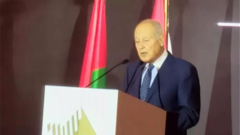 أحمد أبو الغيط: علاقات مصر والإمارات نموذج للعلاقات العربية المتميزة