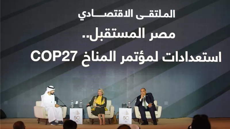 محيي الدين: إجراءات التكيف مع التغيرات تحتاج لـ2 .3 تريليون دولار