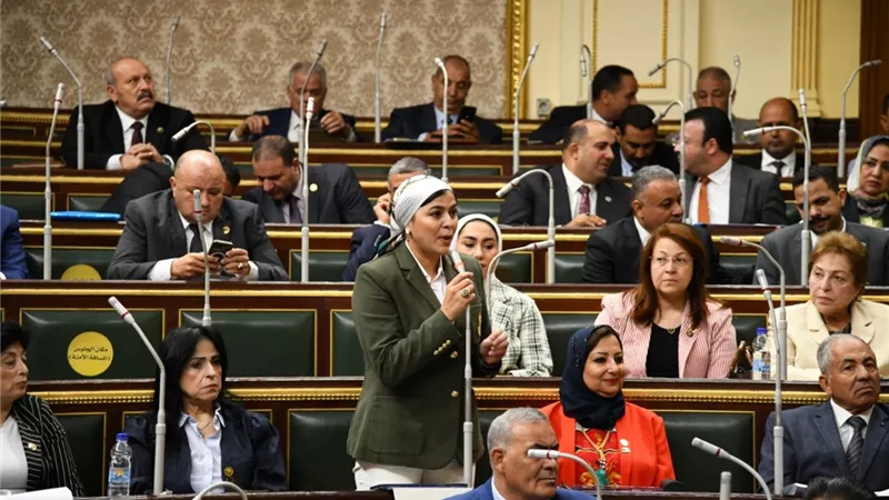 نواب لوزير الصحة: لجان الأورام كلها فساد وكلنا مش راضيين عنها