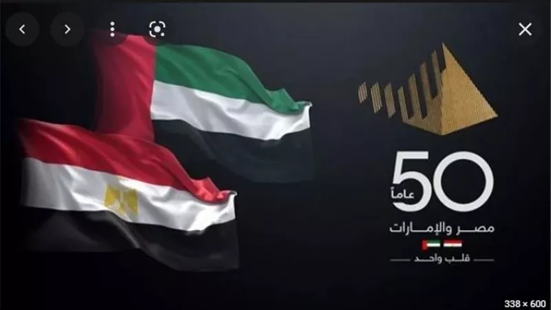 تواصل دائم بين أعضاء مجلس الأعمال المصري الإماراتي لإزالة المعوقات