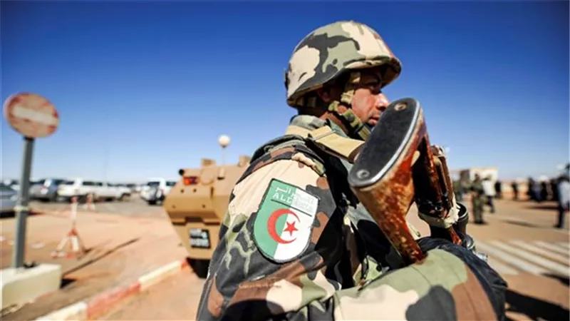 الجزائر: ضبط 8 عناصر دعم للجماعات الإرهابية و134 مهاجرًا غير شرعي