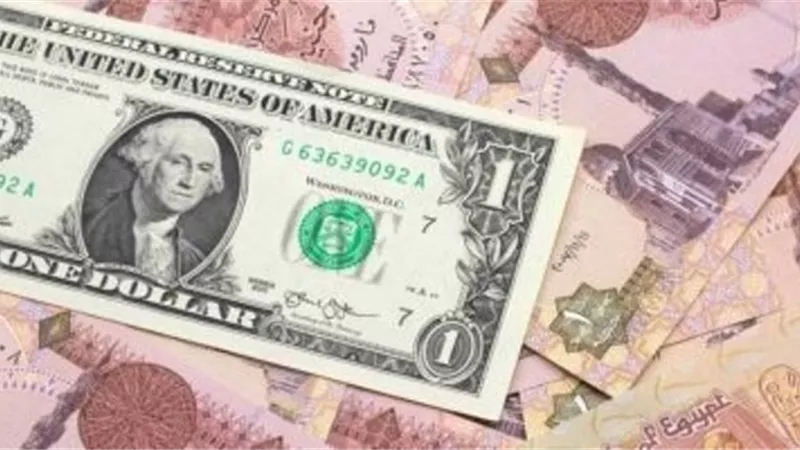 بعد بيان البنك المركزى.. تعرف على اسعار الدولار فى البنوك المصرية