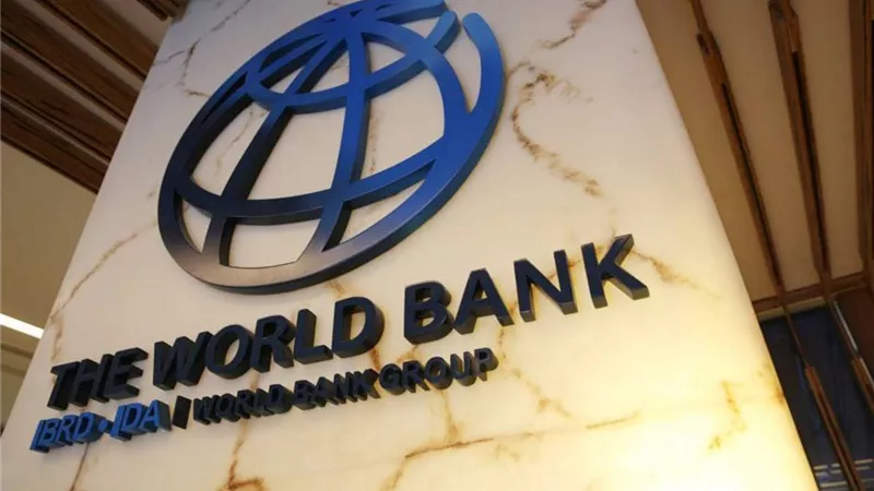 البنك الدولي: أزمات الدول النامية تتفاقم بسبب تراجع عملاتها